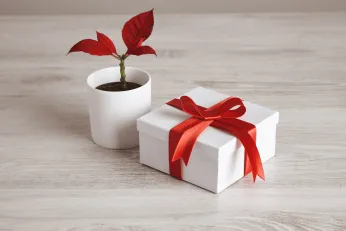 Employee Anniversary Recognition